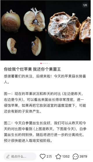 超40吨重卡碾压!极氪009首发三明治空气悬架座椅:超常规测试0变形0塌陷秒回弹